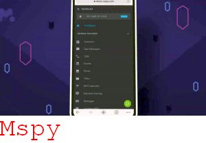 Mspy Basic vs Premium